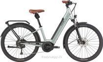 E-Bike kaufen: CANNONDALE ADVENTURE NEO 2 EQ L SAGE GRAY Nouveau