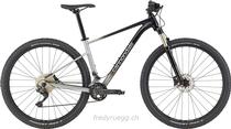 Bikes Vélo tout terrain CANNONDALE TRAIL SL 4 S SCHWARZ SILBER