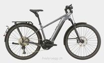 E-Bike kaufen: CANNONDALE TESORO NEO X SPEED M GREY Neu