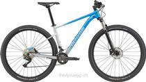 Bikes Mountainbike CANNONDALE TRAIL SL 4 29