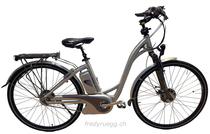 E-Bike kaufen: FLYER BKTECH T8 PREMIUM 09 S Occasion