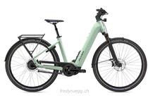 e-Bikes Vélo urbain FLYER UPSTREET 7.23 COMF S FROSTY