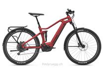 E-Bike kaufen: FLYER GOROC3 6.50 FS L ROT SCHWARZ Neu