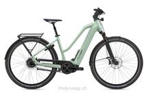 e-Bikes Vélo urbain FLYER UPSTREET 7.23 MIXED M FROSTY