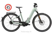E-Bike kaufen: FLYER UPSTREET 7.23 COMF HS S FROSTY Nouveau