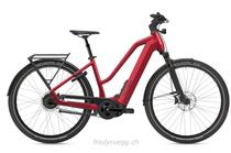 E-Bike kaufen: FLYER UPSTREET 7.23 MIXED M ROT Neu
