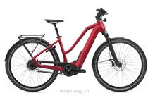 e-Bikes Citybike FLYER UPSTREET 7.23 MIXED M ROT