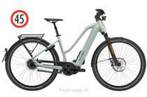 E-Bike kaufen: FLYER UPSTREET 7.23 MIXED HS M FROSTY Neu