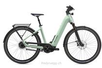 E-Bike kaufen: FLYER UPSTREET 7.23 COMF S FROSTY Neu