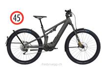 e-Bikes Vélo tout terrain FLYER GOROC X 6.70 FS HS XL SCHWARZ