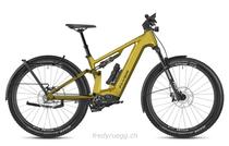 e-Bikes Mountainbike FLYER GOROC TR:X 4.63 FS M CURCUMA