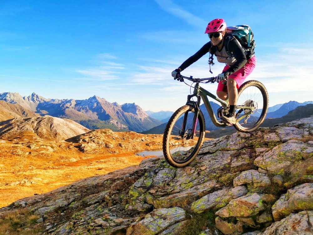 Vélo tout terrain kaufen: TRANSALPES C1 Occasion