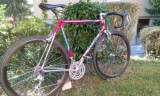 Bikes Rennvelo COLNAGO Master Olympic