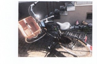 Citybike kaufen: GAZELLE Tour Populair 8G R51 Neu