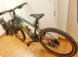 e-Bikes Mountainbike SPECIALIZED Turbo levo hardtrail comp 29