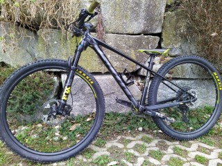  Mountainbike kaufen: SCOTT Scale 950 Occasion