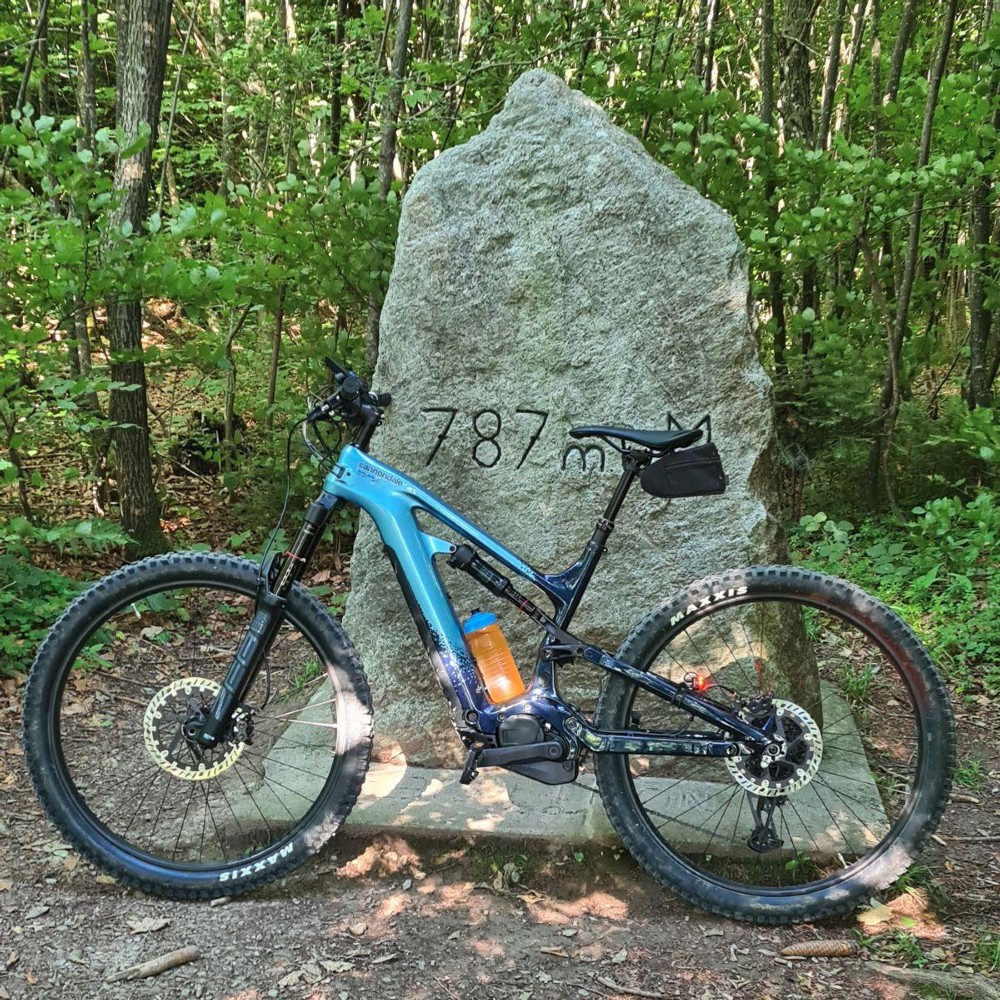 E-Bike kaufen: CANNONDALE Moterra 2 Occasion