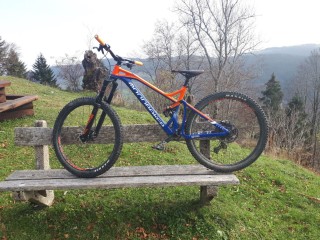  Mountainbike kaufen: MONDRAKER Dune  Occasion