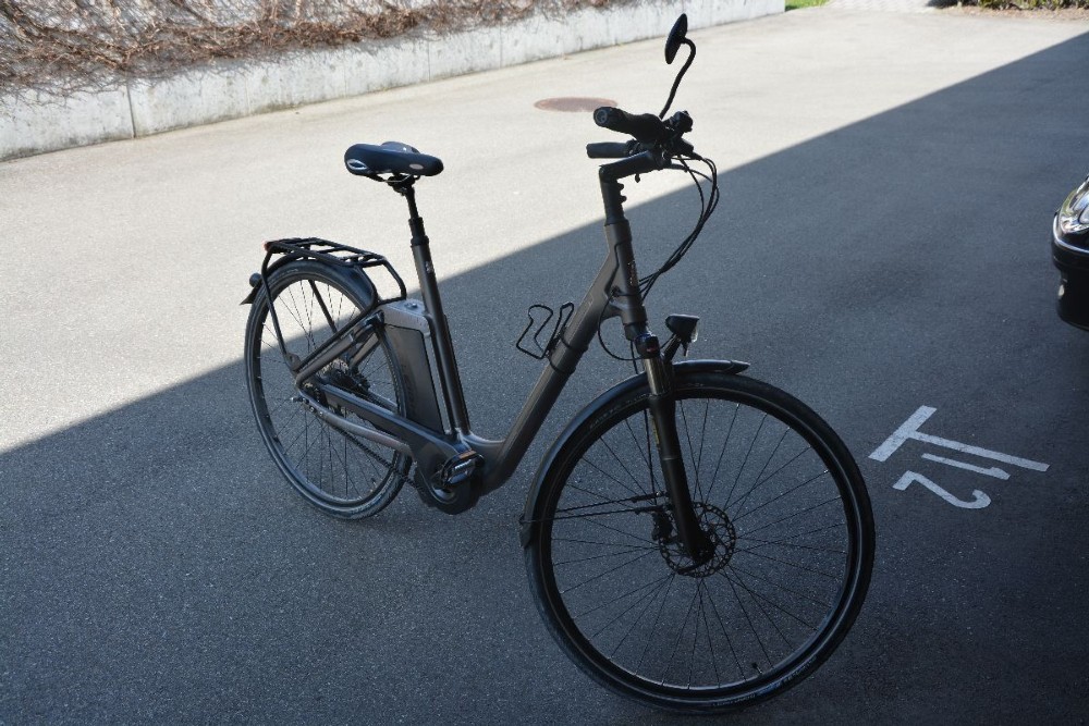 E-Bike kaufen: RALEIGH Pedelec Impuls Evo Occasion