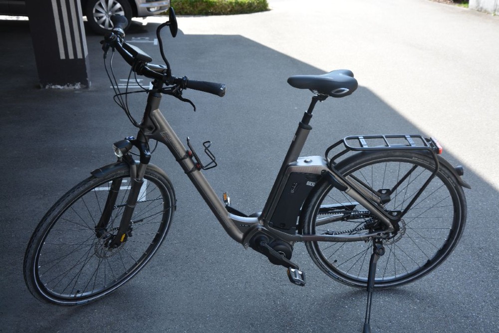 E-Bike kaufen: RALEIGH Pedelec Impuls Evo Occasion