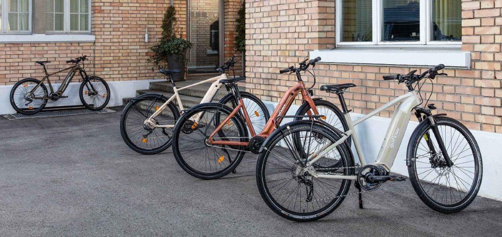 E-Bike kaufen: GOFLOW CB-250 Nouveau