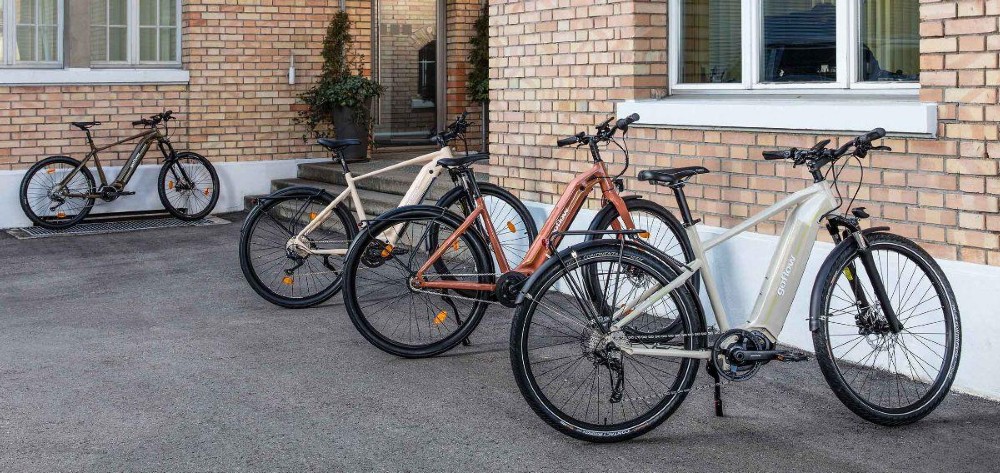 E-Bike kaufen: GOFLOW CB-250 Neu