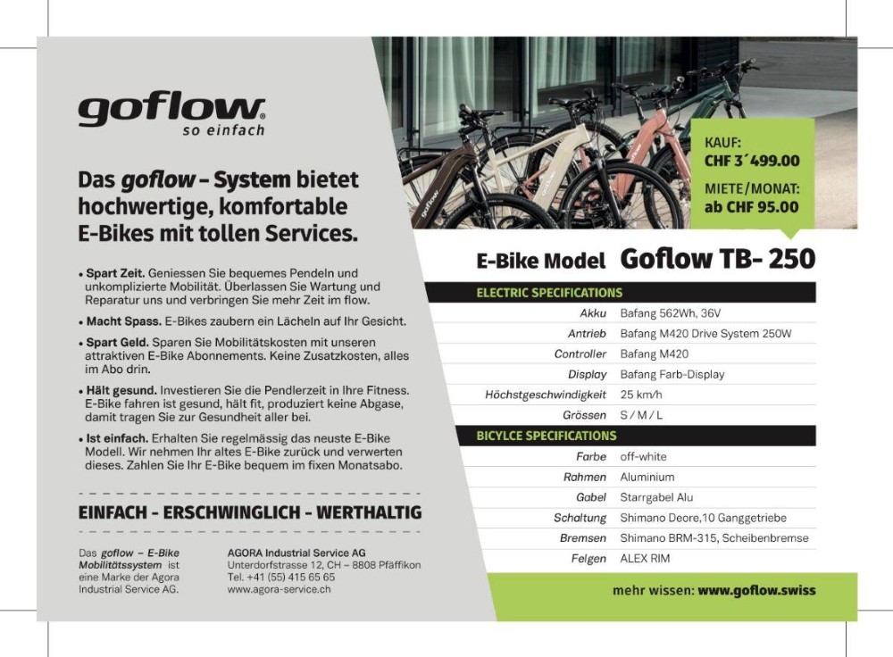 E-Bike kaufen: GOFLOW CB-250 Nouveau