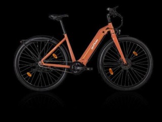 e-Bikes Citybike GOFLOW CB-250