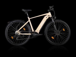 e-Bikes Tourenvelo GOFLOW TB-250