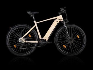 e-Bikes Tourenvelo GOFLOW TB-250