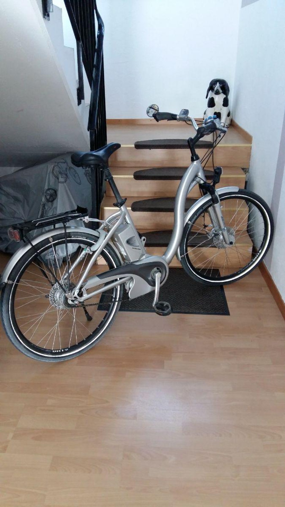 E-Bike kaufen: FLYER ? Occasion