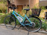 e-Bikes Citybike BIONX adventur