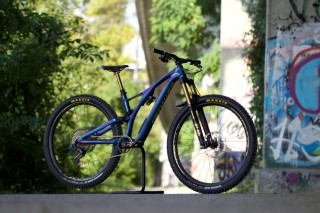  Mountainbike kaufen: SPECIALIZED Stumpjumper Occasion