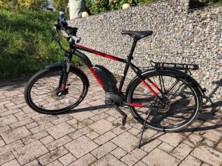 E-Bike kaufen: FUJI Fuji Ambien 29 1.5 EQP Occasion