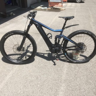 E-Bike kaufen: GIANT TRANCE E+2 PRO Occasion