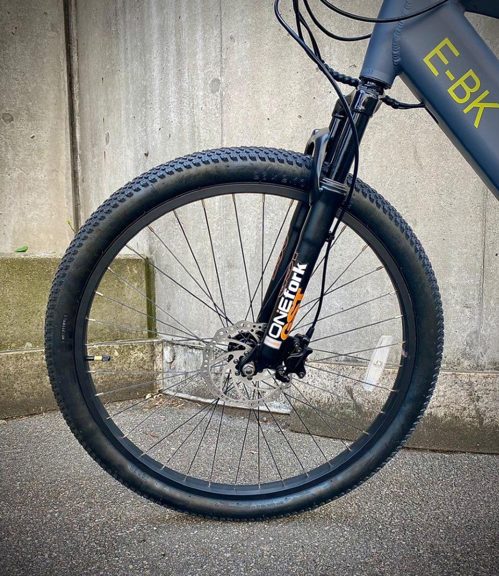 E-Bike kaufen: E-BIKE DL-M02 Nouveau