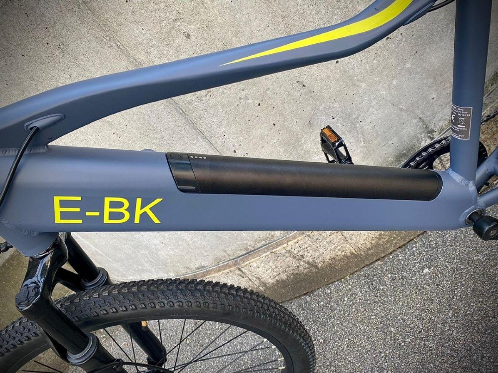 E-Bike kaufen: E-BIKE DL-M02 Neu