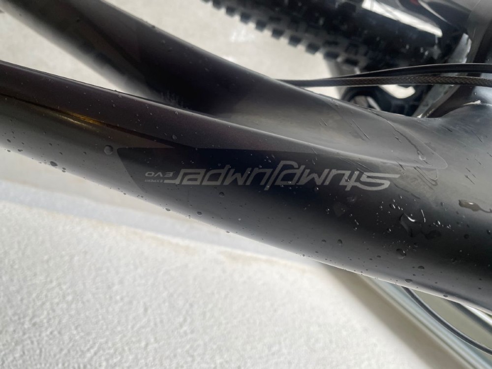 Mountainbike kaufen: SPECIALIZED Stumpjumper Expert Evo Carbon Occasion