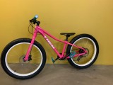Bikes Mountainbike TREK Roscoe