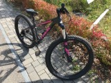 Bikes Mountainbike TREK Roscoe 8 Women‘s