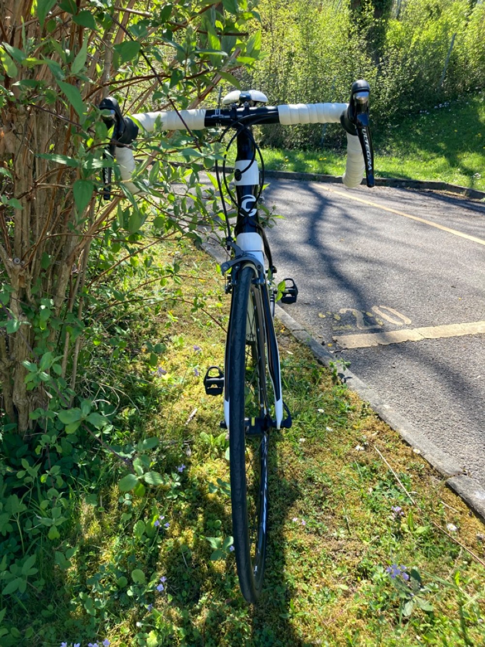 Vélo de course kaufen: CANNONDALE Synapse Carbon Ultegra 4 Occasion