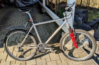  Mountainbike kaufen: WIDMER Powertec Adventurer Occasion