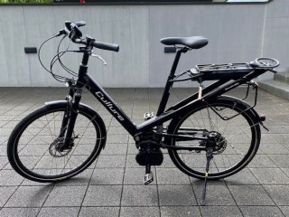 E-Bike kaufen: RIESE & MÜLLER Culture Occasion