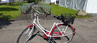  Citybike kaufen: KRISTALL City Occasion