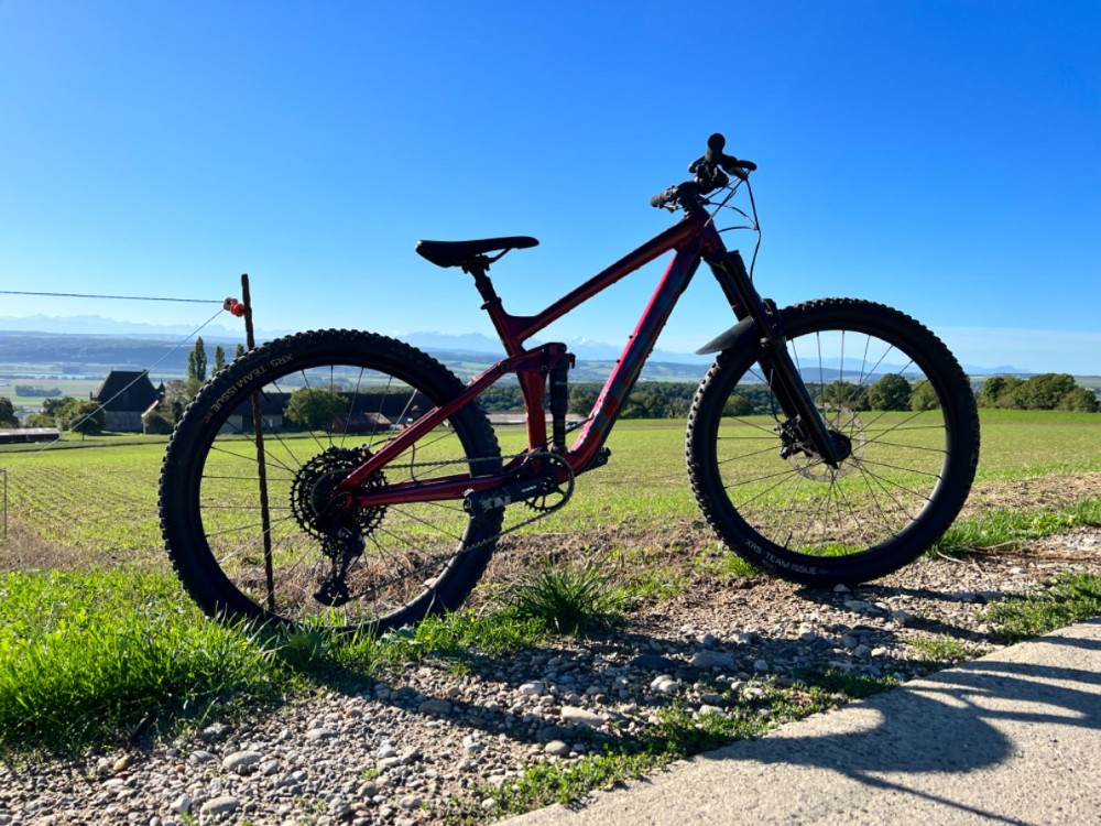 Mountainbike kaufen: TREK Remedy 7 Neu