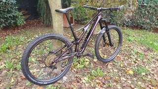  Mountainbike kaufen: SPECIALIZED Stumpjumper S-Works CF Occasion