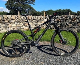  Vélo tout terrain kaufen: SPECIALIZED Stumpjumper Evo Carbon Occasion