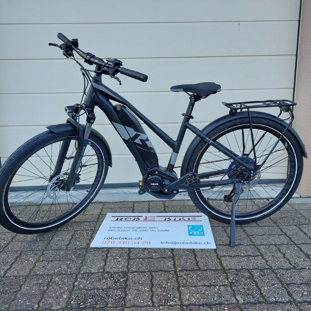E-Bike kaufen: RAYMON Raymon Tourray E 3.0 Aktion