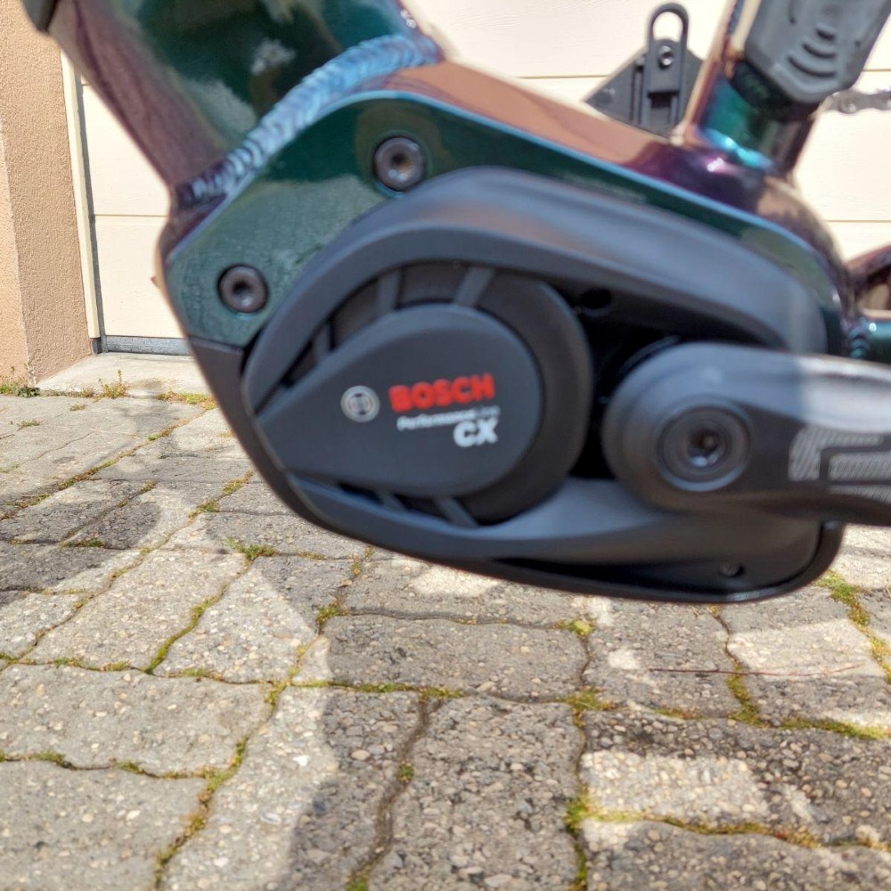 E-Bike kaufen: STEVENS E-Juke Nouveau