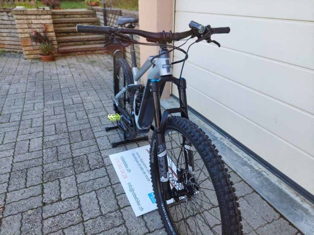 E-Bike kaufen: BIXS Sauvage E15  Aktion